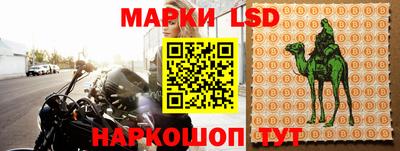 стаф Ярославль