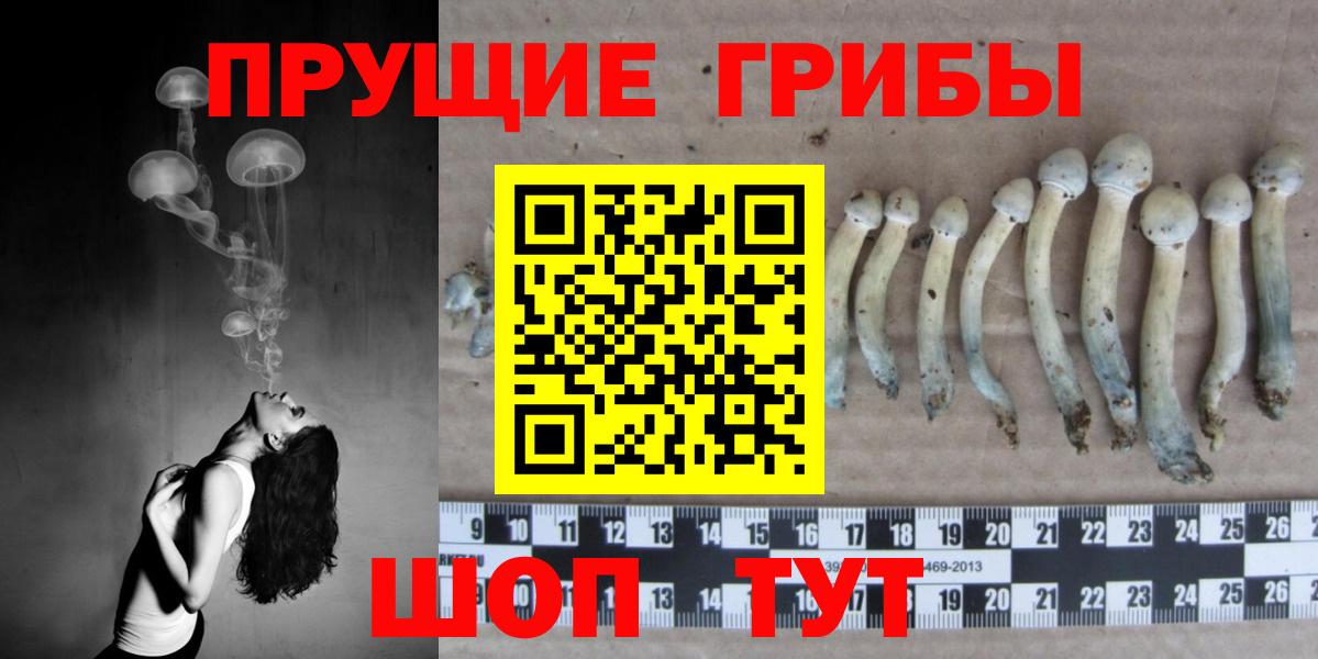 Белово  Галлюциногенные грибы GOLDEN TEACHER  Псилоцибиновые грибы мицелий  Вход с VPN 